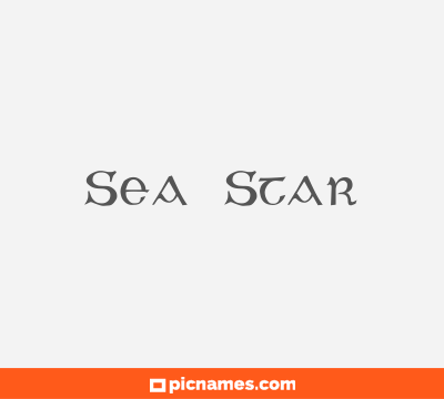 Sea Star